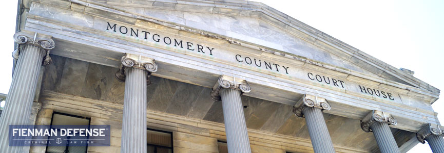 Montgomery County Court of Common Pleas Fienman Defense