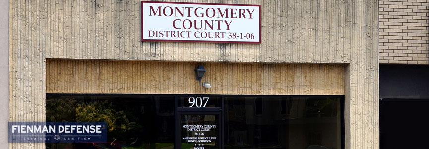 Montgomery County 38 1 06 Magisterial District Court Fienman Defense